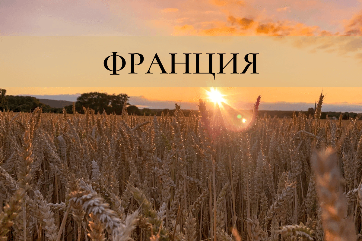 Франция – экспортер зерна