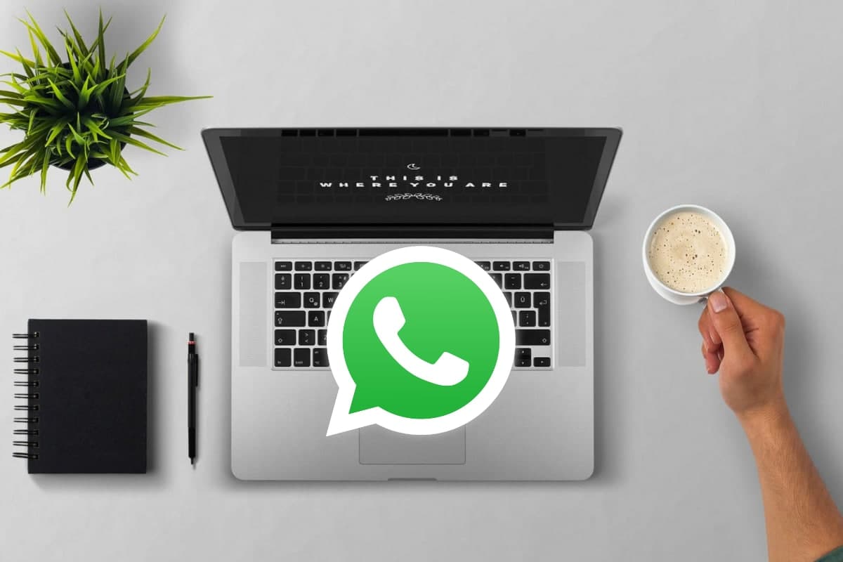 В WhatsApp появилась возможность пользоваться версией ПК, без привязки к смартфону