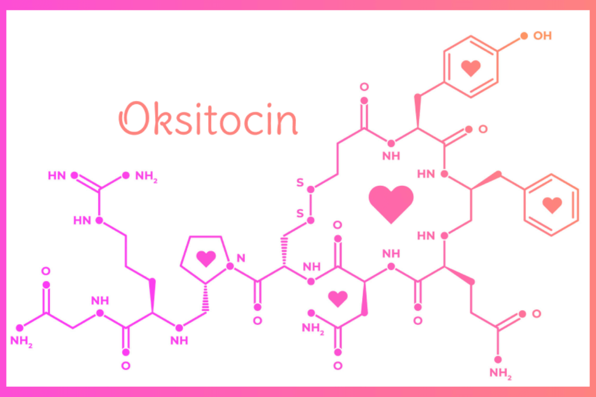 Как увеличить выработку окситоцина?