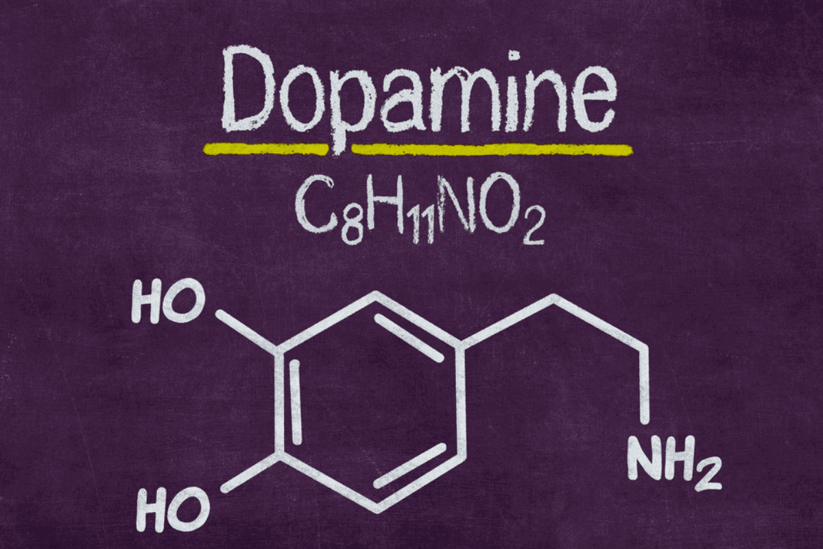 Как увеличить выработку дофамина?