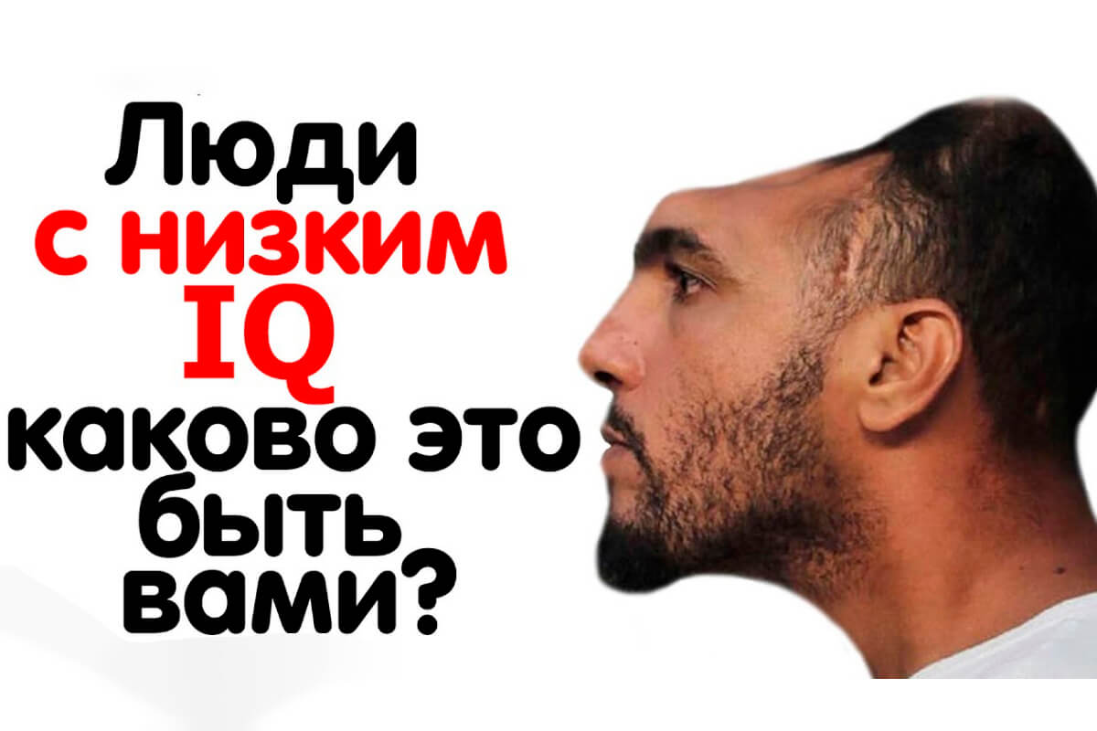 Какой самый низкий IQ в мире?