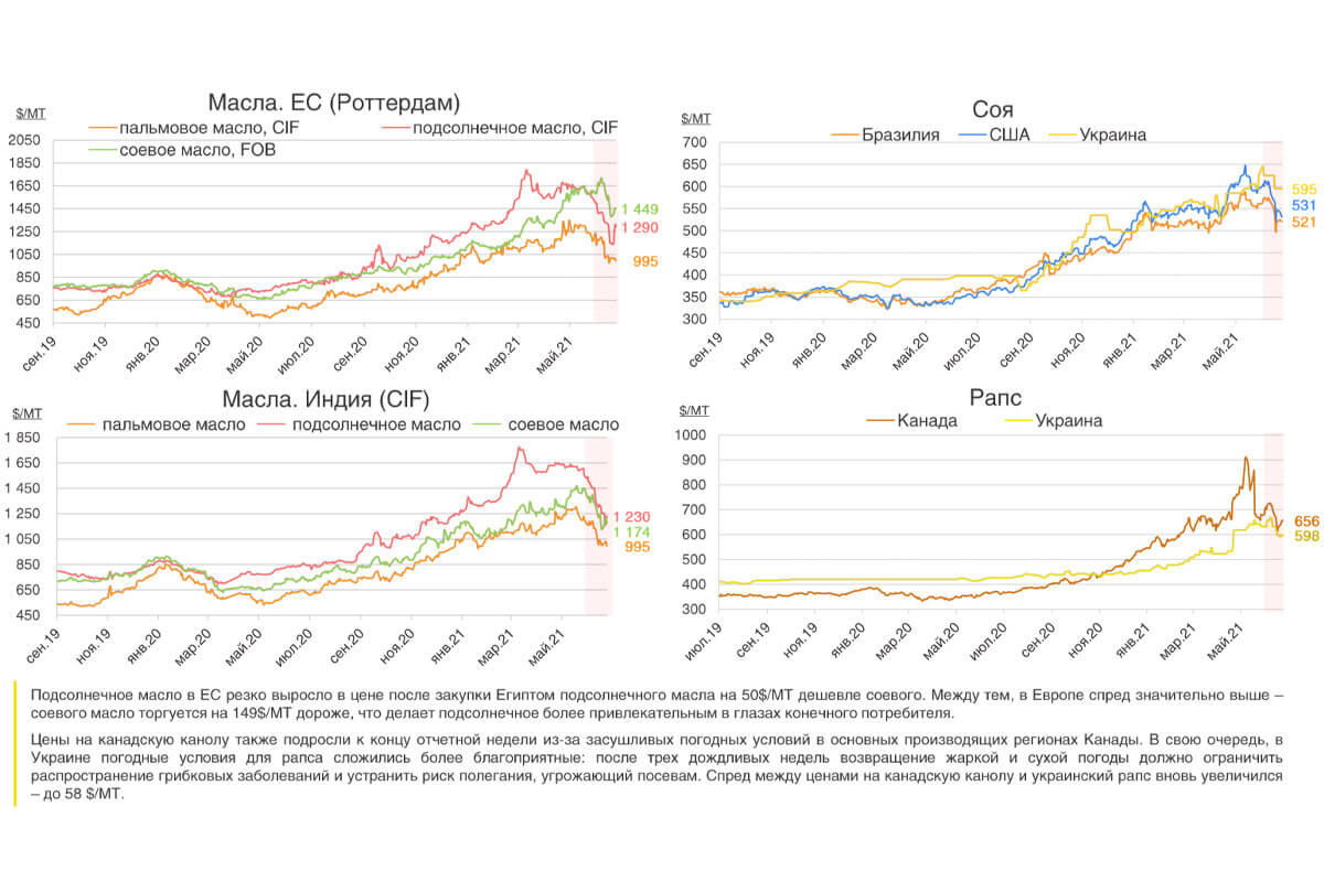 Прогноз мирового рынка растительных масел