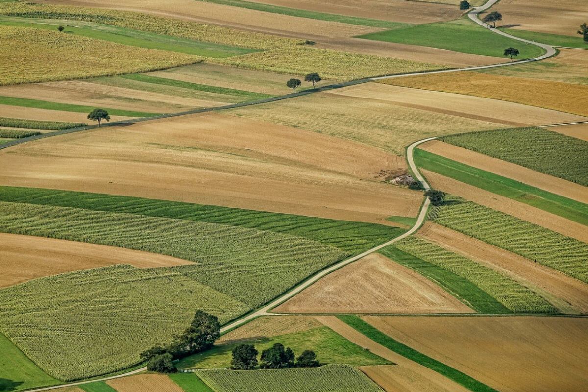 Отмена моратория на продажу земли в Украине