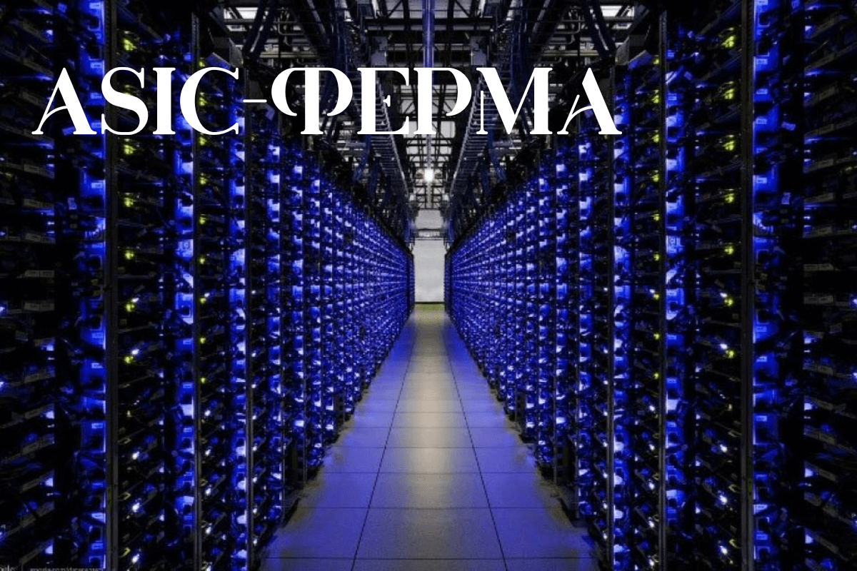 Разница между видеокартами и ASIC-ферма