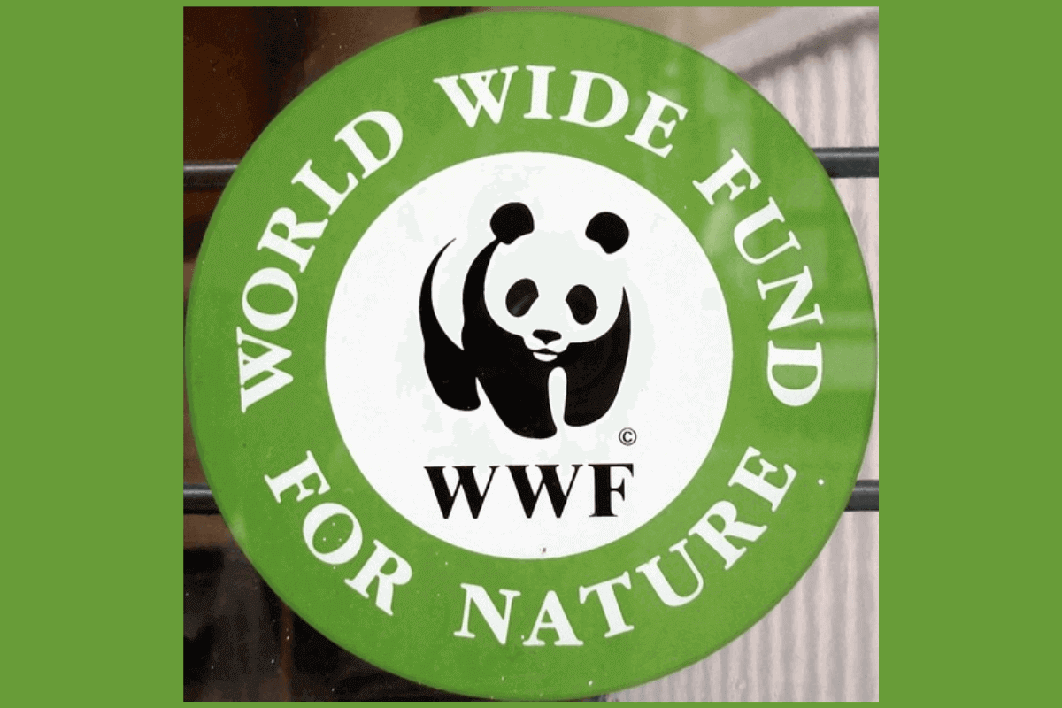 WWF и Моржский манифест