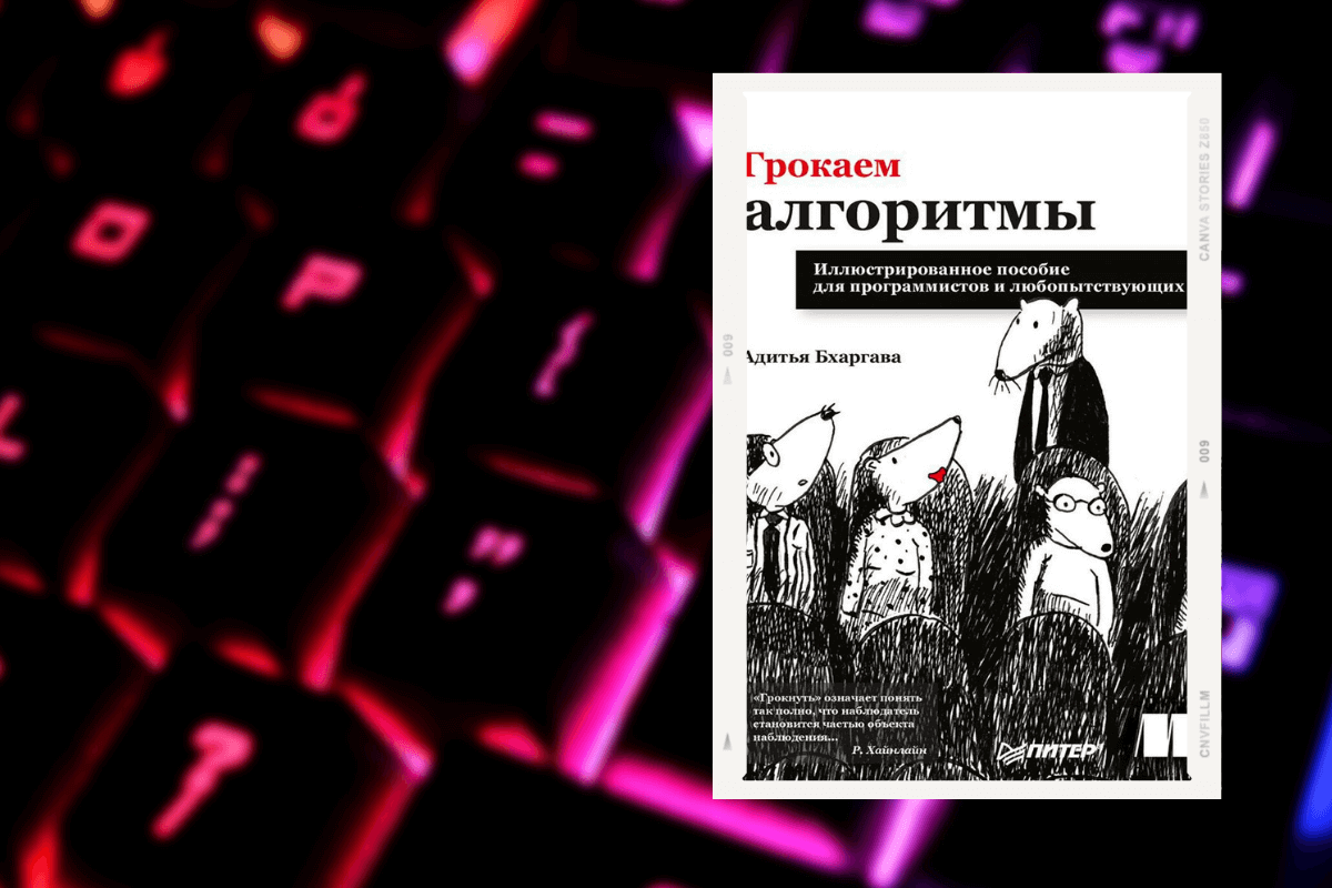 Топ-15 книг про программирование: «Грокаем алгоритмы. Иллюстрированное пособие для программистов и любопытствующих», Адитья Бхаргава