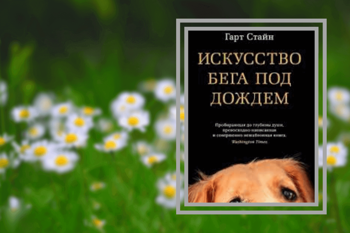 ТОП-15 лучших познавательных книг про животных: «Искусство бега под дождем» Г. Стайн