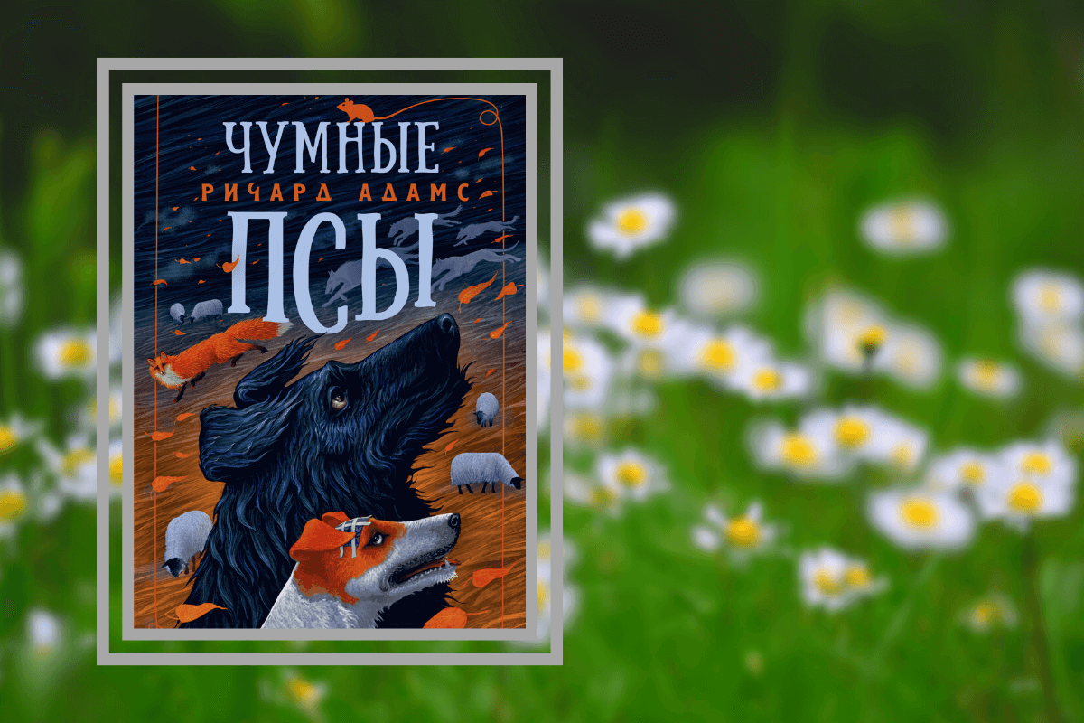 ТОП-15 лучших познавательных книг про животных: «Чумные Псы», Р. Адамс