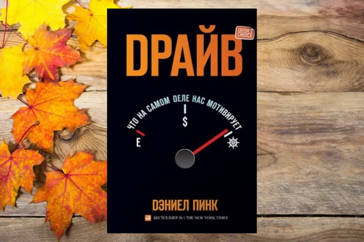 Книга «Драйв», Дэниел Пинк